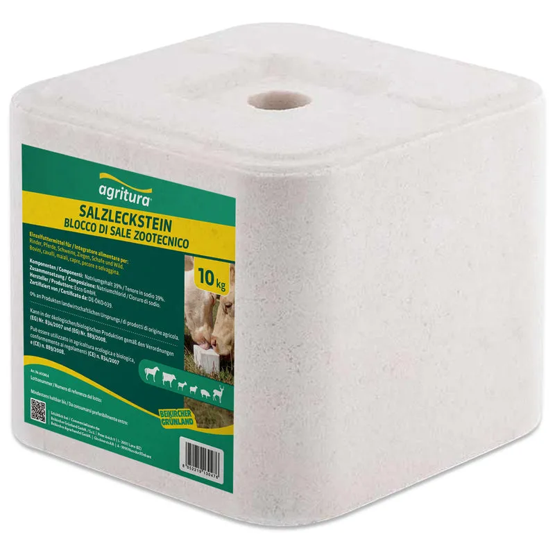 Blocco di sale bianco 10kg