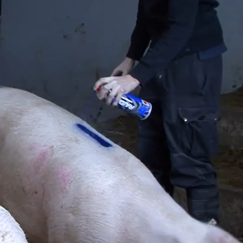 Spray per l’identificazione del bestiameRaidex 400ml