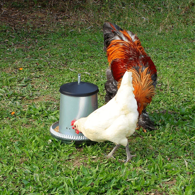 Mangiatoia Automatica Regolabile in Metallo Zincato