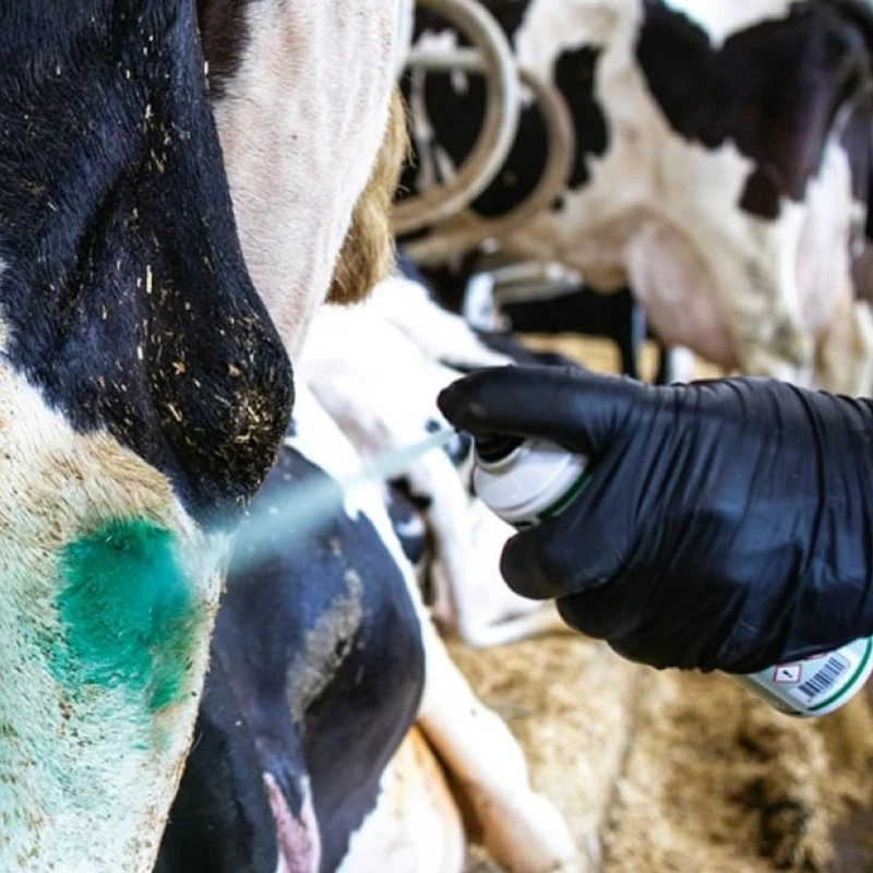 Intra Repiderma Spray per la Cura della Pelle e Degli Zoccoli