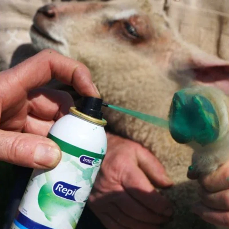 Intra Repiderma Spray per la Cura della Pelle e Degli Zoccoli