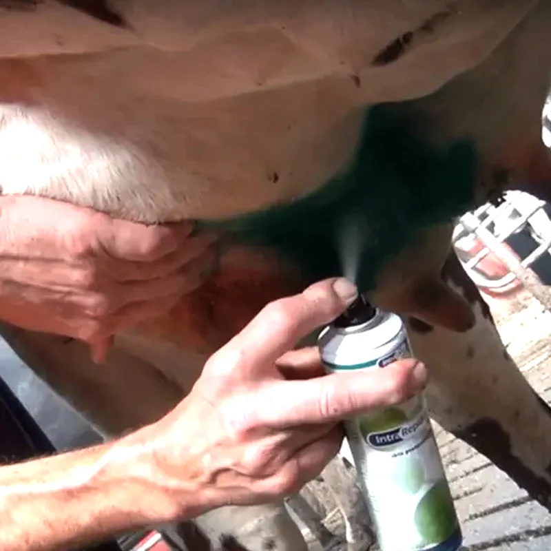 Intra Repiderma Spray per la Cura della Pelle e Degli Zoccoli