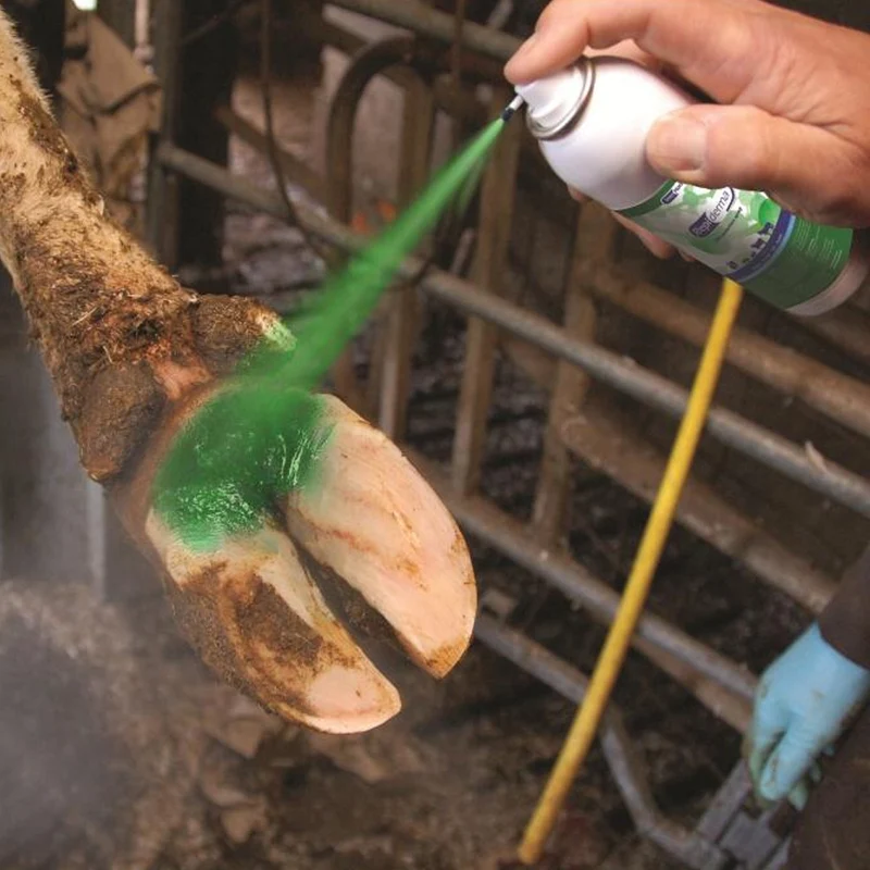 Intra Repiderma Spray per la Cura della Pelle e Degli Zoccoli