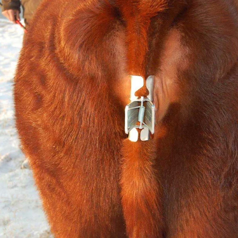 Fermacoda a molla zincata per bovini