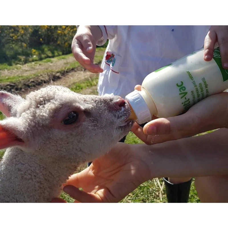Biberon per agnelli Anti-Vac con tettarella per un facile riempimento, 450ml