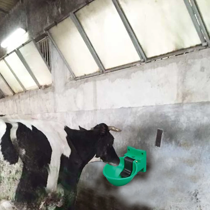 Abbeveratoio Bovini In Plastica Dura Resistente