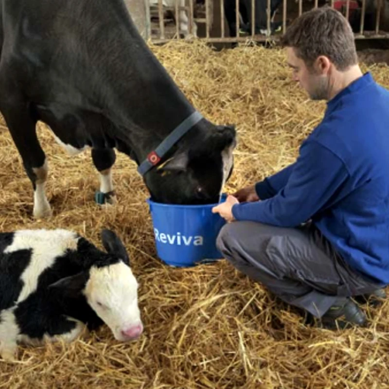 Farm-O-San Reviva Integratore energetico per vacche 7kg
