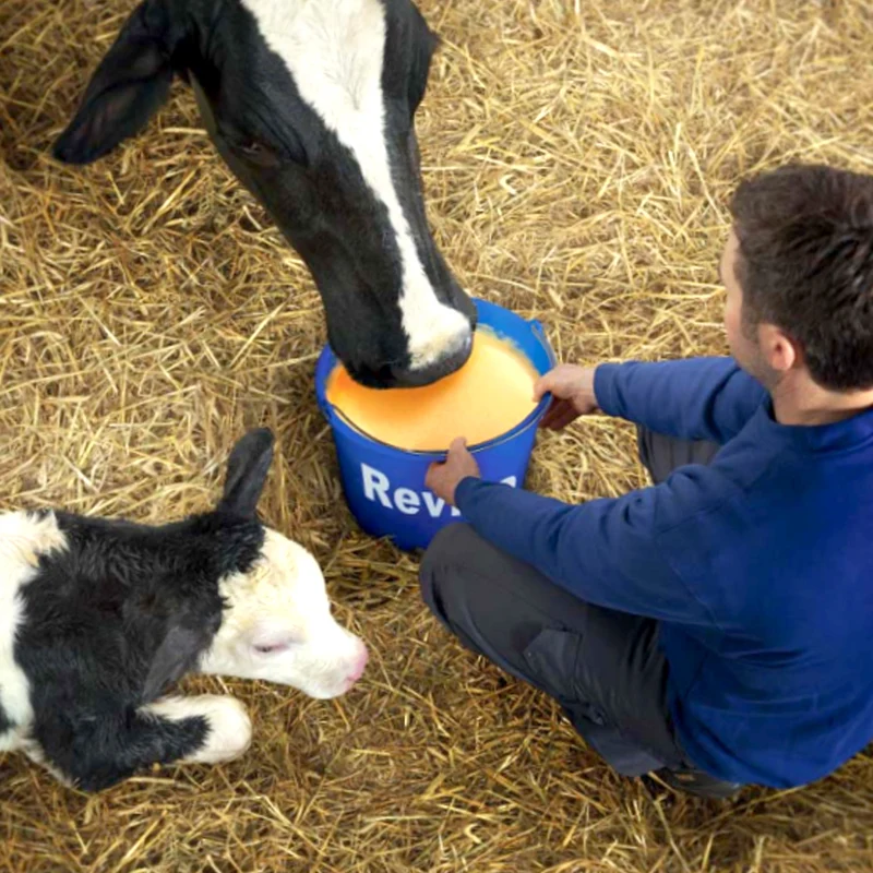 Farm-O-San Reviva Integratore energetico per vacche 7kg