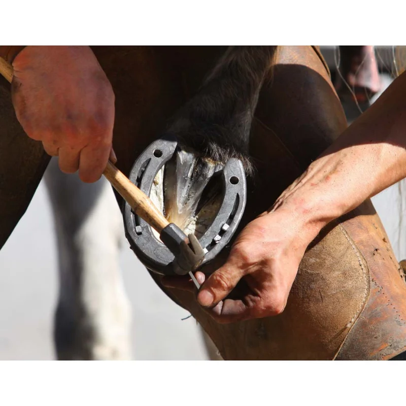 Chiodi di Cavallo Mustad ESL