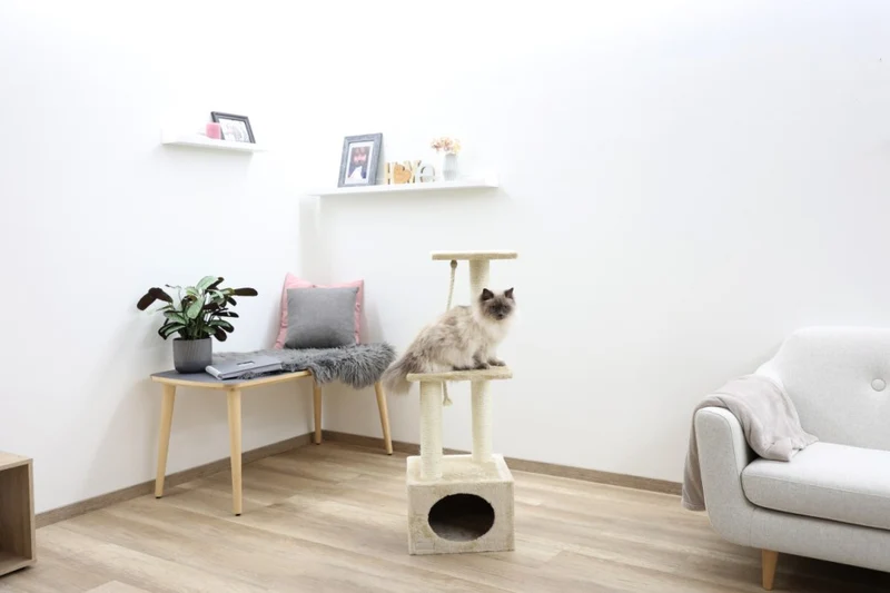 Albero Tiragraffi Platin Pro con Corda per Gatti