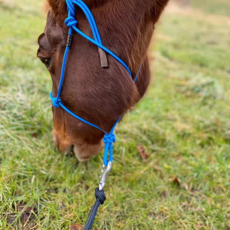 Moschettone zincato con anello girevole per animali