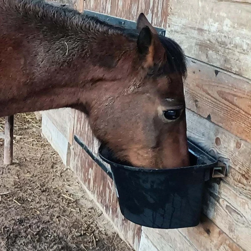 Mangiatoia portatile con staffa per aggancio in plastica antischegge
