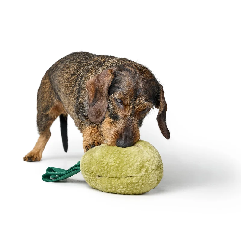 Hundespielzeug Venice
