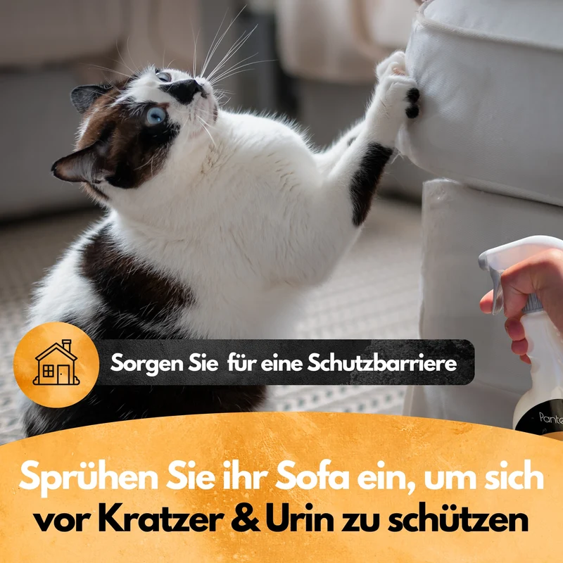 Contra Katz Spray - Katzenabwehrspray 500ml