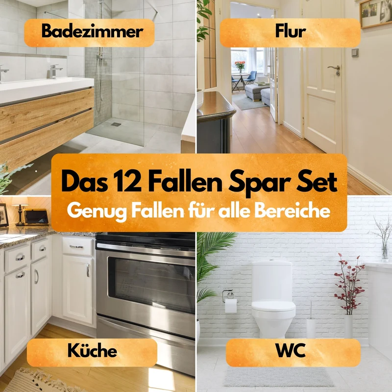 Silberfischfalle - 12 Stück - inkl. Köder - Zum Monitoring