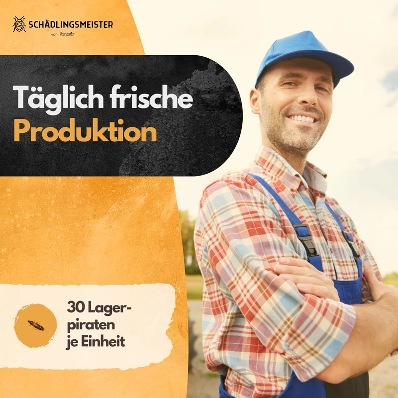 Lagerpiraten gegen Speckkäfer und Reismehlkäfer - 30 Nützlinge