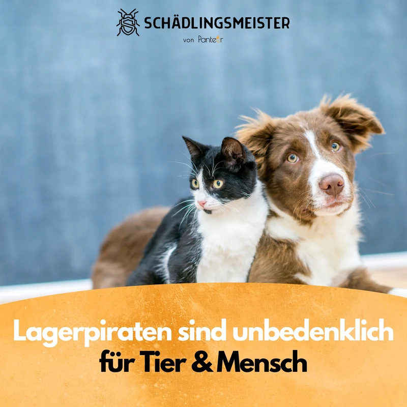Lagerpiraten gegen Speckkäfer und Reismehlkäfer - 30 Nützlinge