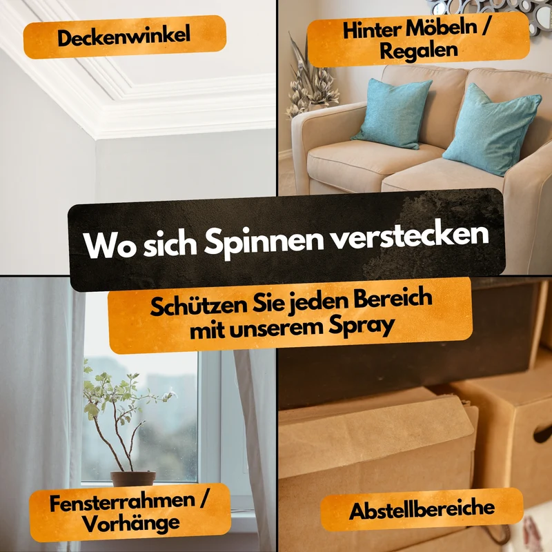 Spinnenspray (AMP 2 CL) - 500ml