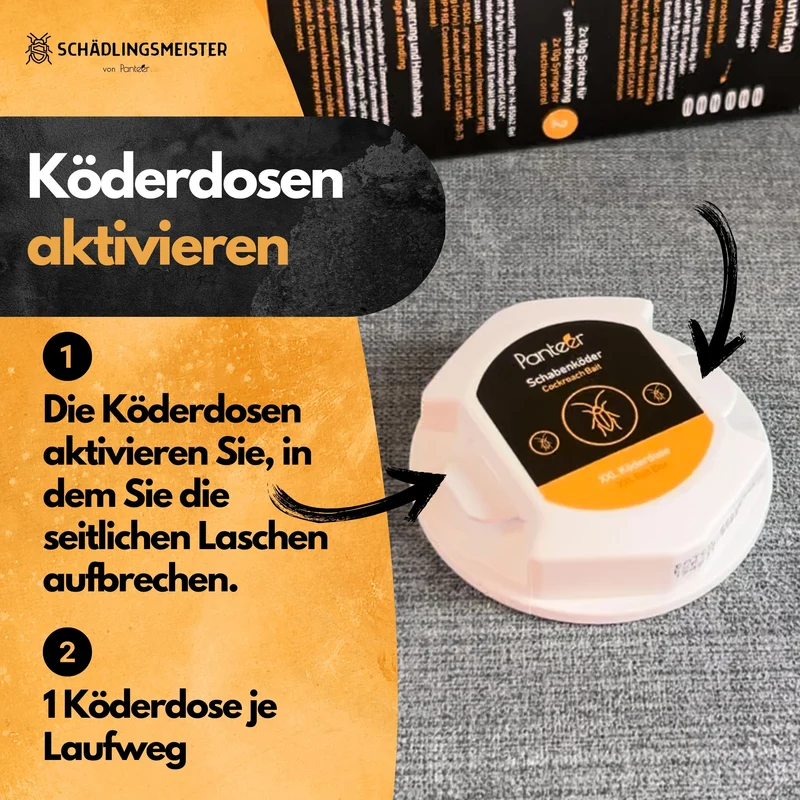 Schaben Komplettlösung - 2 x 10g Schabengel und 5 XXL Köderdosen (AMP 9 RB)