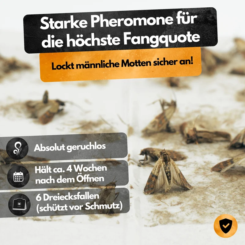 Mottenfalle – 6 Stück – Lebensmittel- und Kleidermotten-Monitoring