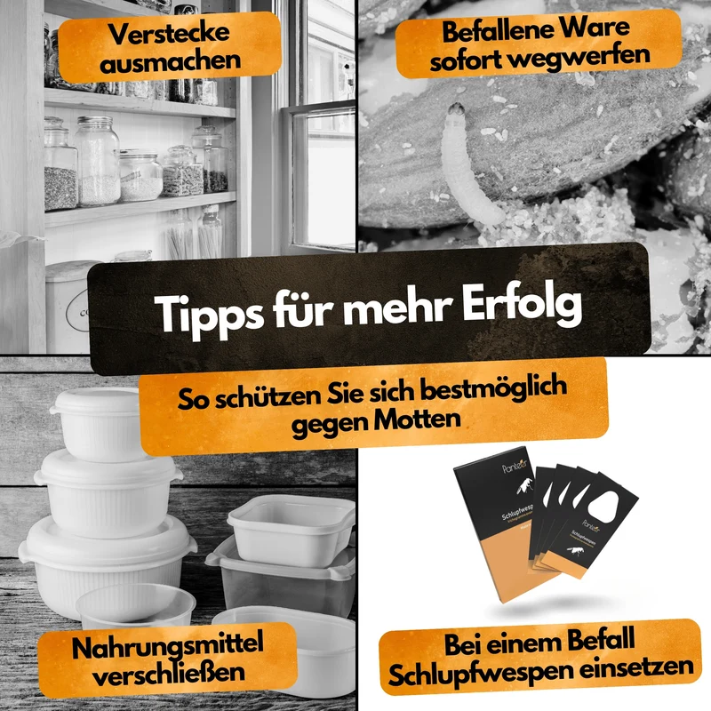 Mottenfalle – 6 Stück – Lebensmittel- und Kleidermotten-Monitoring
