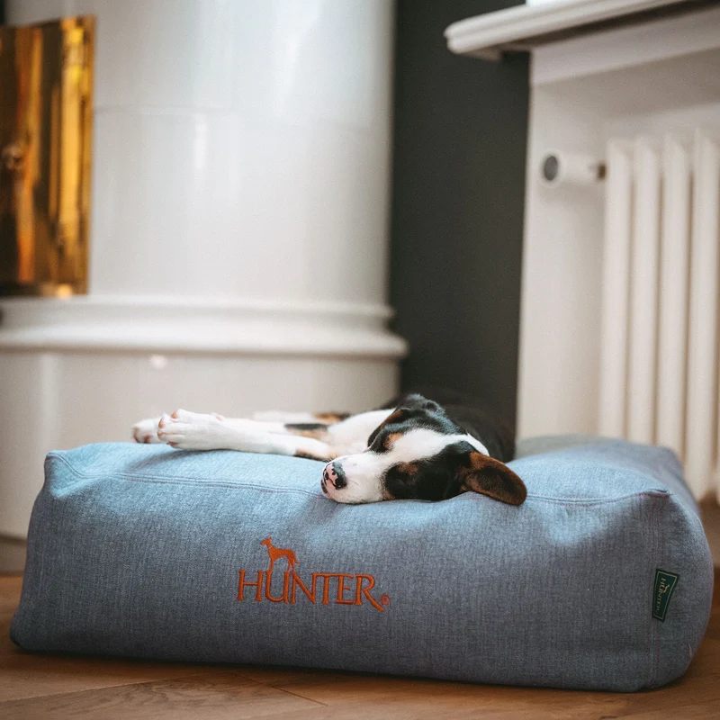 Orthopädisches/Ergonomisches Hundekissen Rotterdam