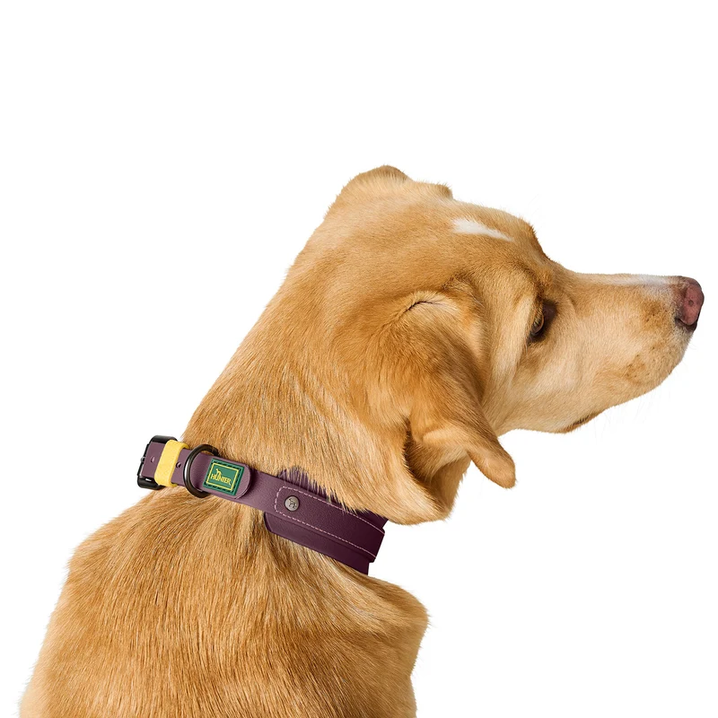 Halsband Havanna Mini