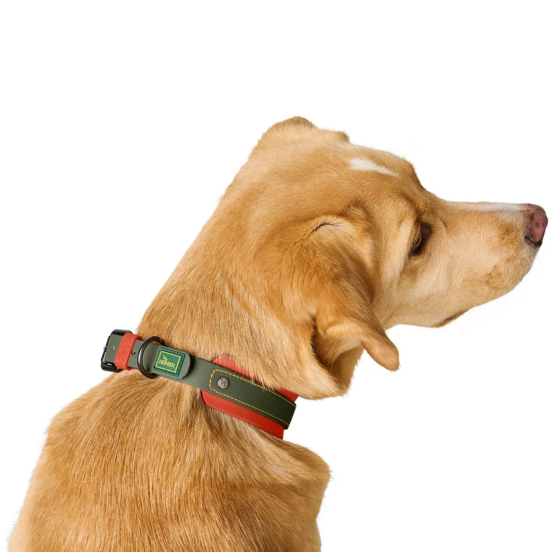 Halsband Havanna Mini