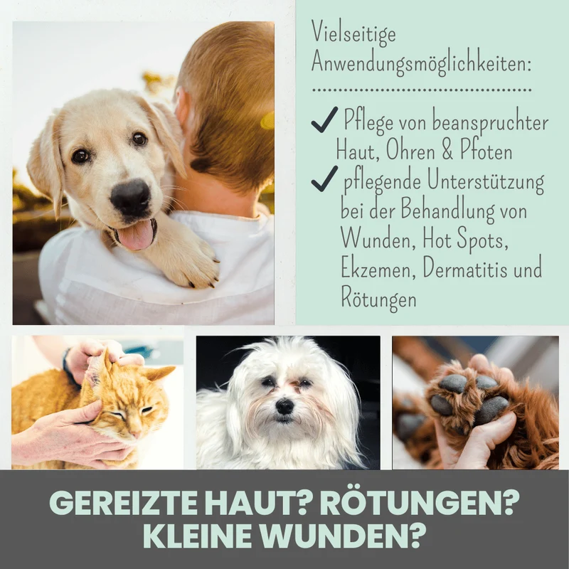 Silberspray für Hunde | mit 50 ppm