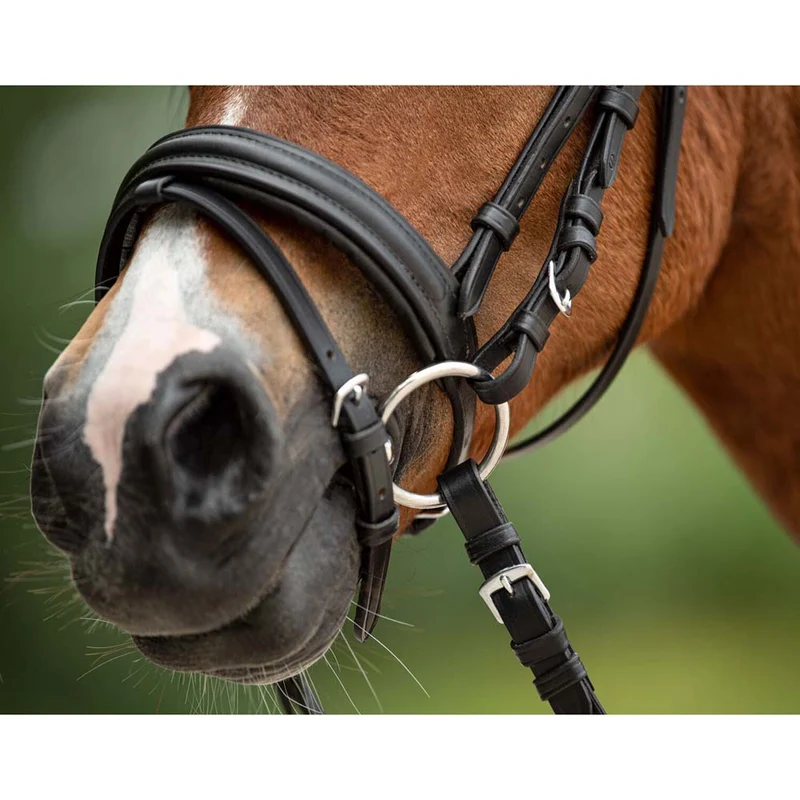Filetto ad anelli pony, pieno da 10,5cm
