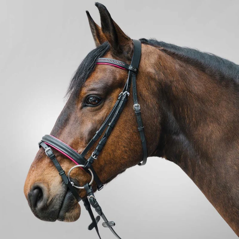 Filetto ad anelli pony, pieno da 10,5cm