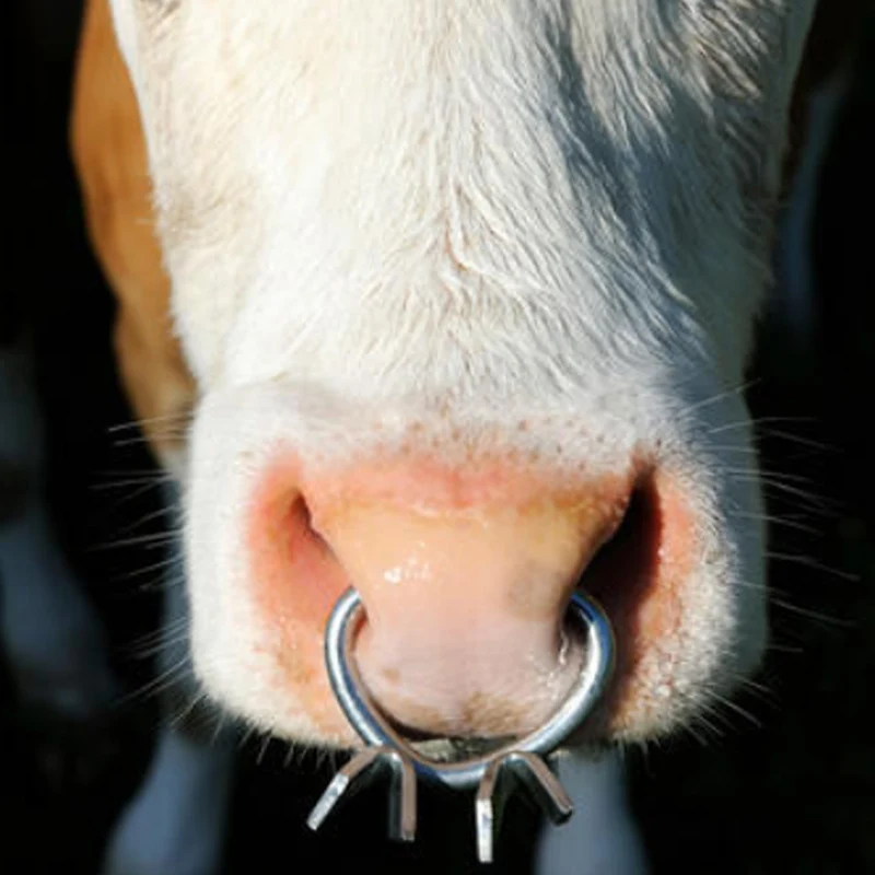 Antisucchio bovini in metallo