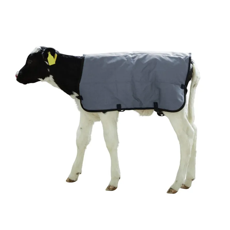 Coperta per vitelli