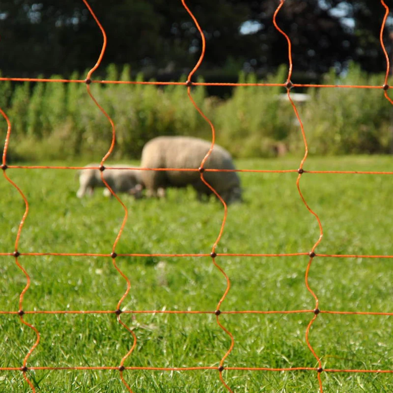 Rete Euro Wolf con doppie punte - 145cm x 50m