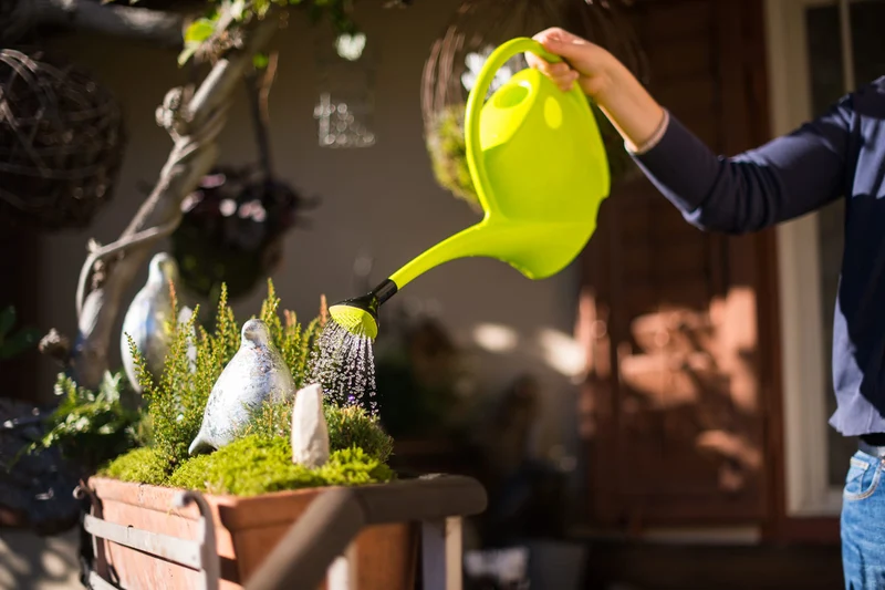 Annaffiatoio in Plastica Verde da 2,5L