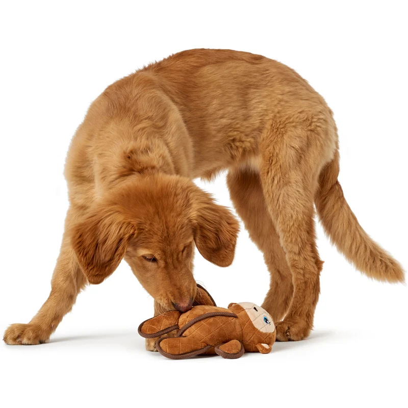 Hundespielzeug Tough Toys