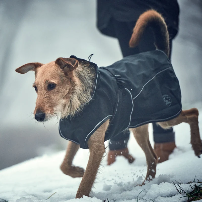 Hundemantel Uppsala Softshell