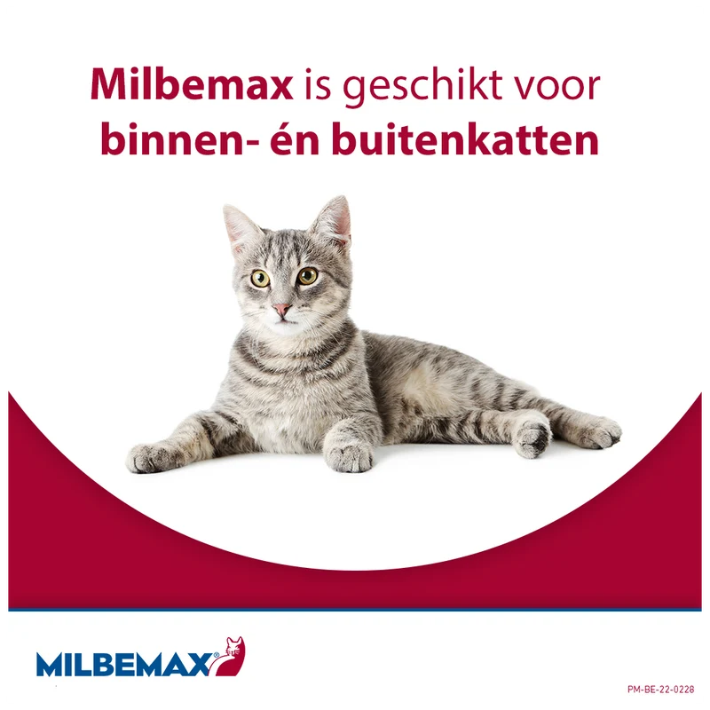 Milbemax Tabletten Kat Groot >2kg