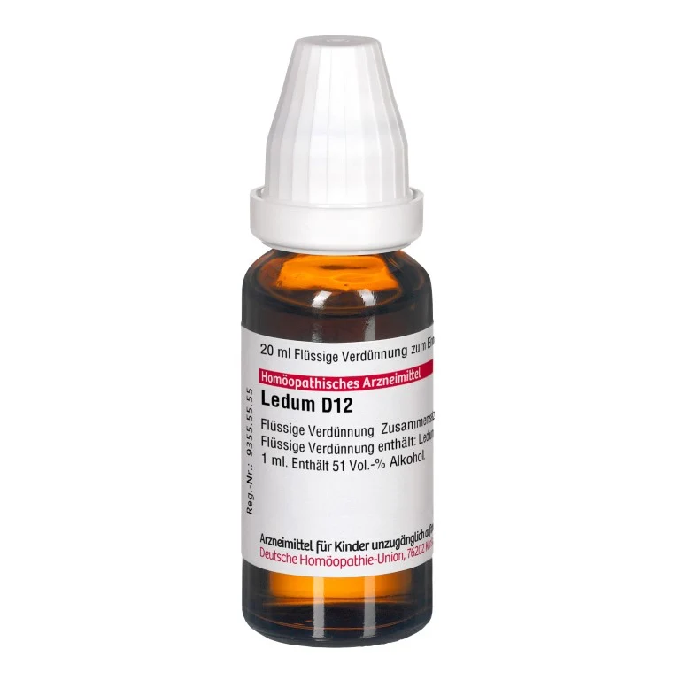 DHU Ledum D8 Dilution, 20 ml Lösung