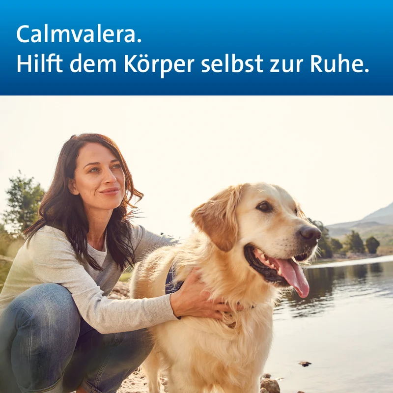 Calmvalera Hevert Tropfen, 200 ml Lösung