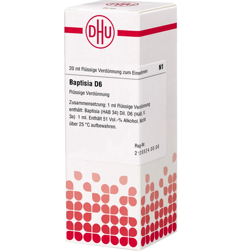 Baptisia D6 DHU Dilution, 20 ml Lösung