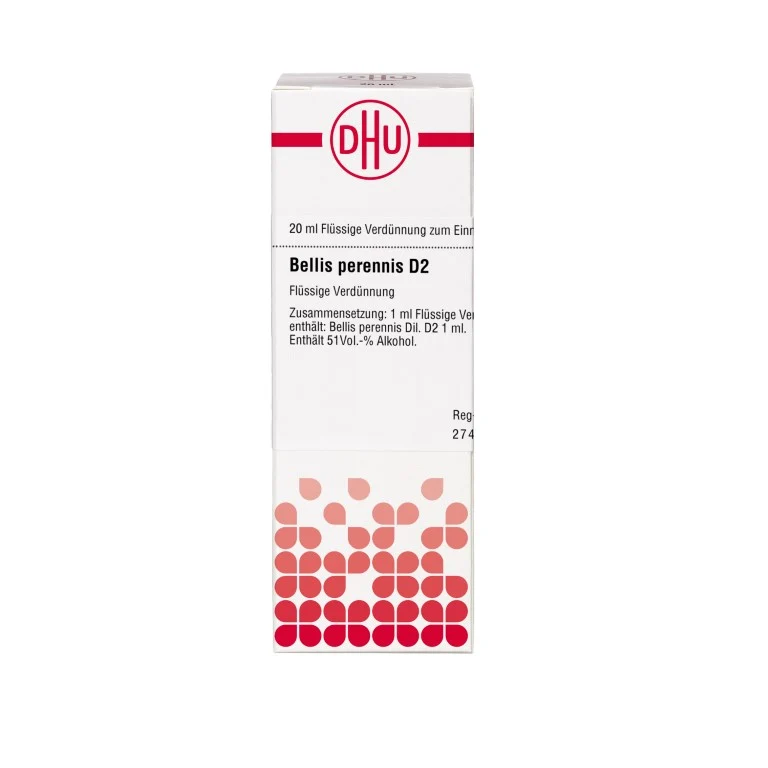 DHU Bellis perennis D2 Dilution, 20 ml Lösung