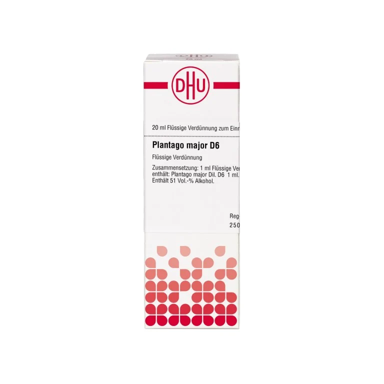 Plantago major D6 DHU Dilution, 20 ml Lösung