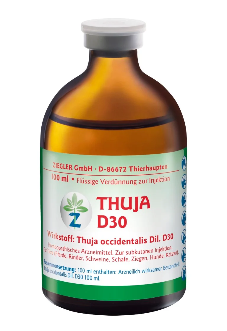 ZIEGLER Thuja D 30 Dilution, 100 ml Lösung