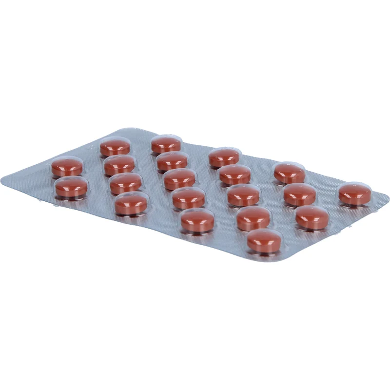 Ginkobil ratiopharm 80 mg Filmtabletten bei geistigen Leistungsstörungen und Durchblutungsstörungen, 120 St. Tabletten