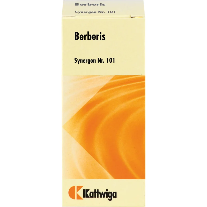 Synergon Komplex 101 Berberis Tabletten, 100 St TAB