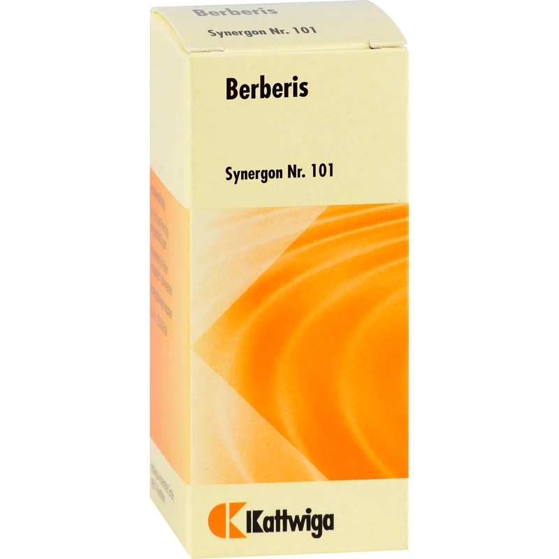 Synergon Komplex 101 Berberis Tabletten, 100 St TAB