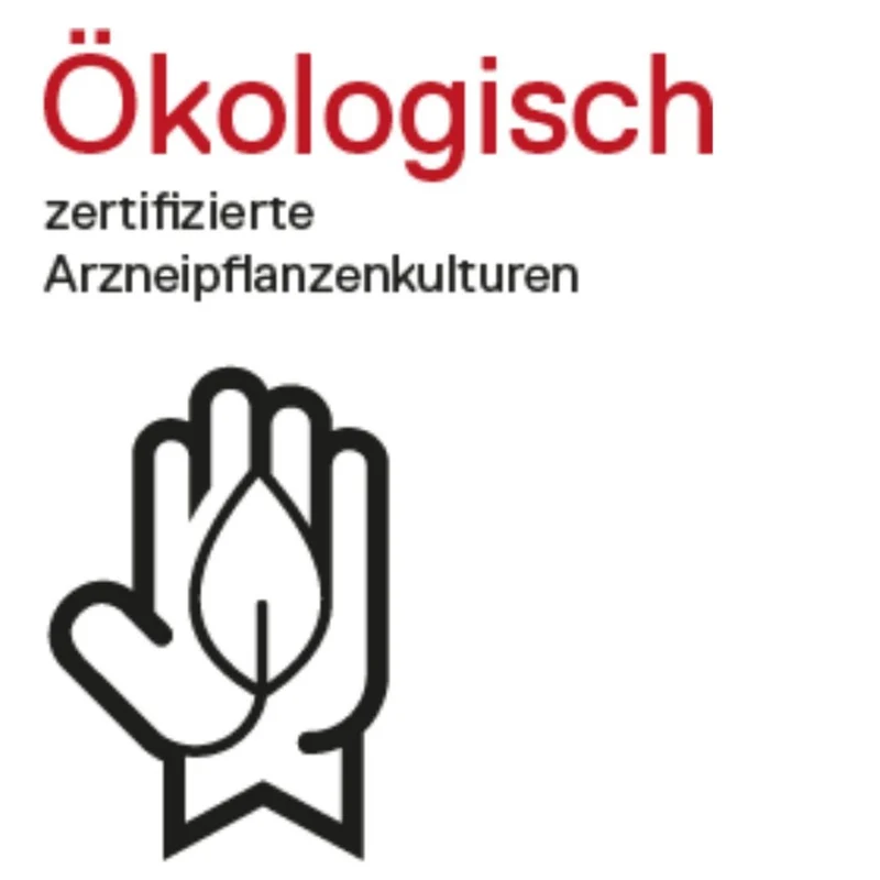 DHU Zappelin Streukügelchen, 10 g Globuli