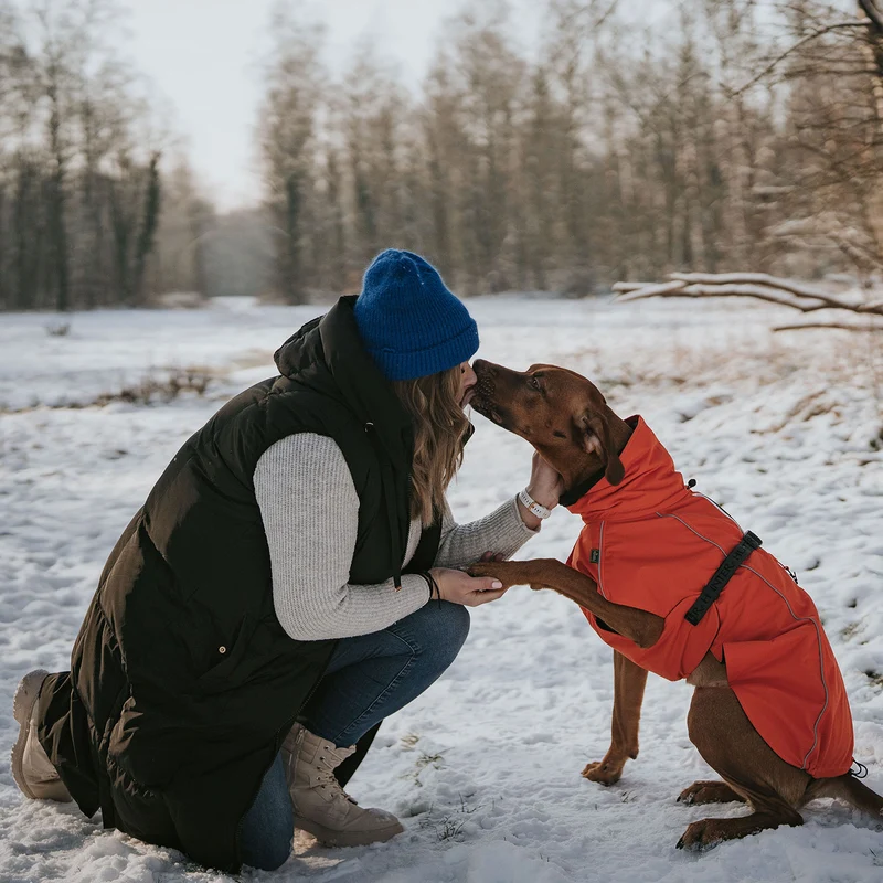 Hundemantel Nordby