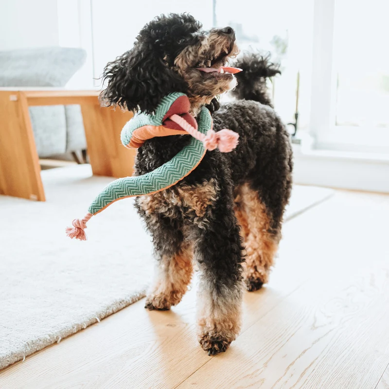 Hundespielzeug Rio